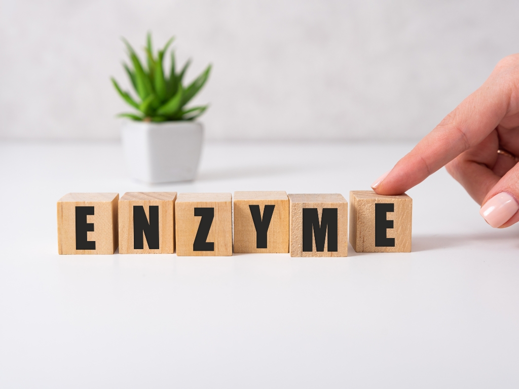 Holzwürfel mit dem Wort ‚Enzyme‘ auf weißem Tisch, daneben eine Hand und im Hintergrund eine grüne Pflanze.
