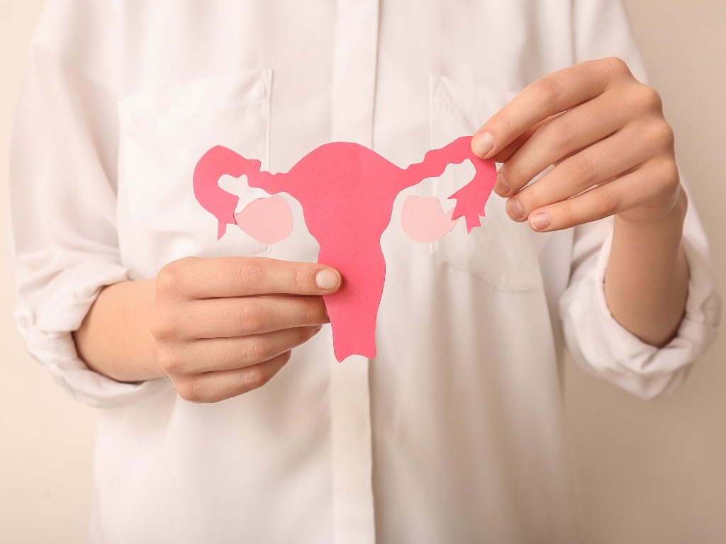 Auf dem Bild sieht man eine ausgeschnittene Gebärmutter. Ein Sinnbild für die histaminverstärkende Wirkung der Hormone. Dies kann Menschen mit Histaminintoleranz beeinträchtigen.